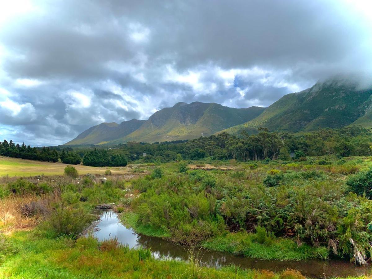 The Guardian Hermanus Luxury Self-Catering Hemel En Aarde Valley Daire Dış mekan fotoğraf